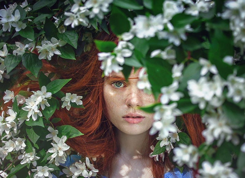 Hidden Blooms