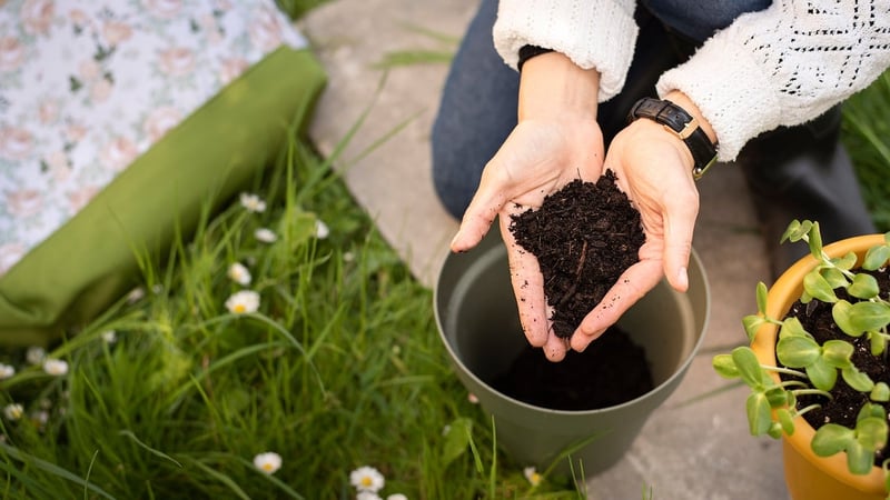 Sustainable Planting