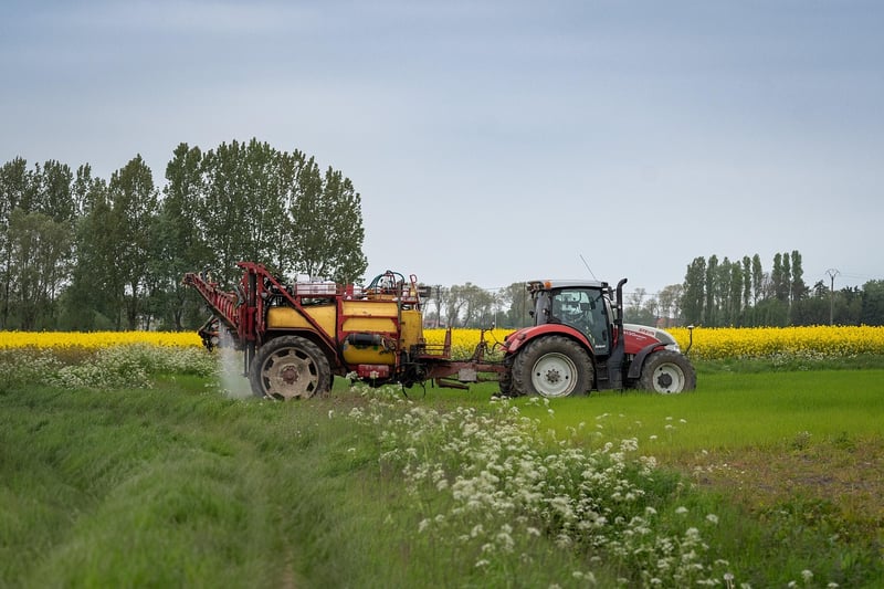 Sustainable Planting